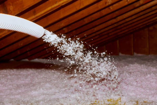 Best Energy Efficiency Solutions in Rineyville, KY